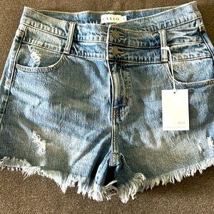 Women’s boutique shorts size L